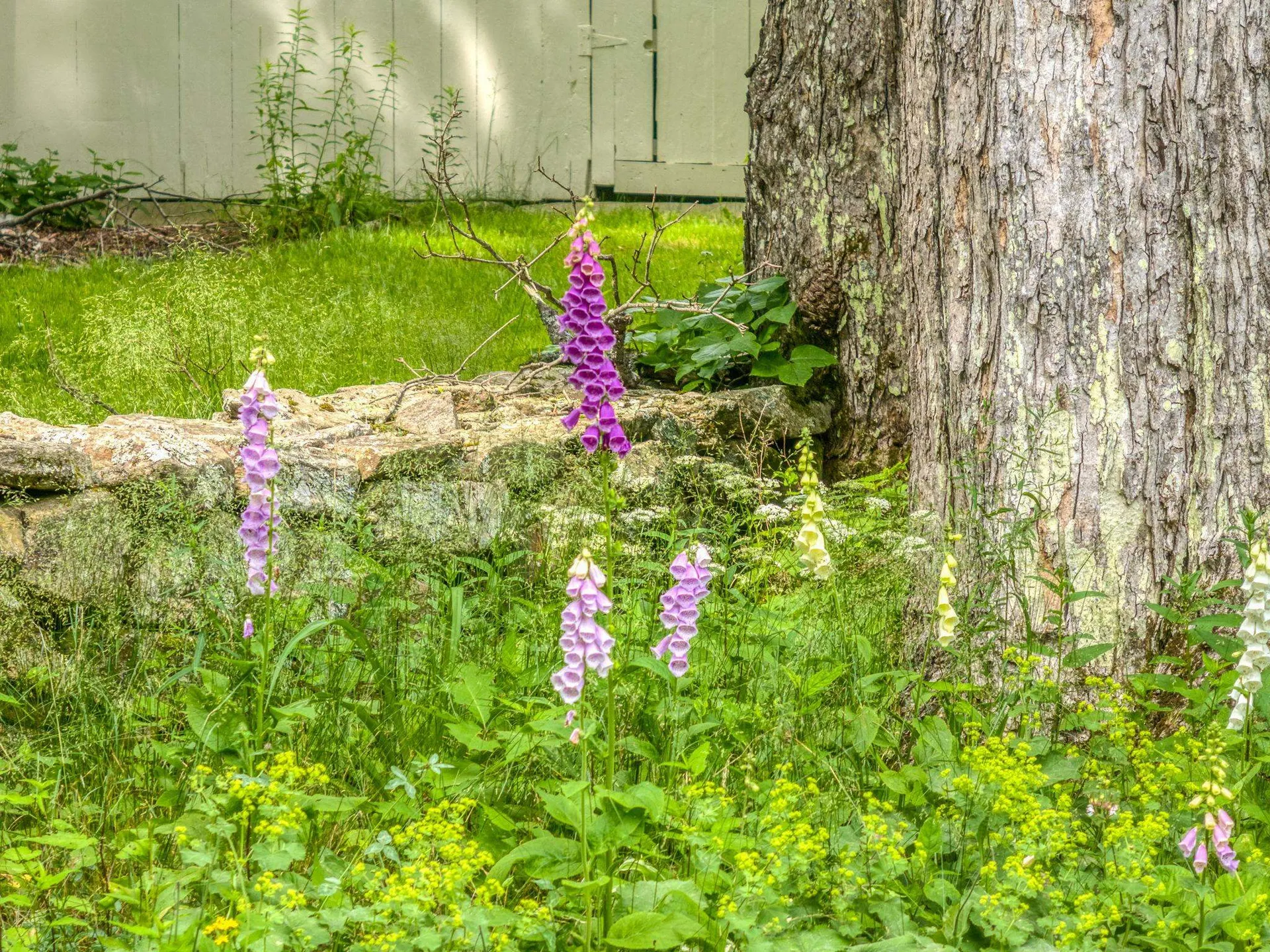 115 Town Line Road Francestown NH 03043