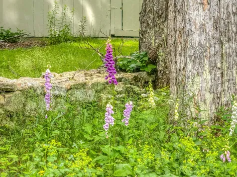 115 Town Line Road Francestown NH 03043