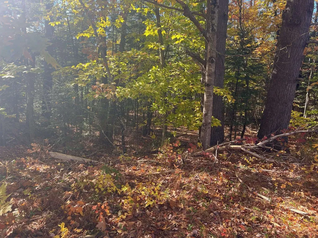 Lot#2 Shaker Jerry Road Moultonborough NH 03254