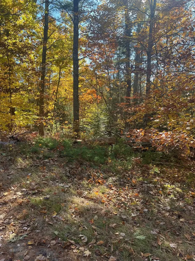 Lot#2 Shaker Jerry Road Moultonborough NH 03254