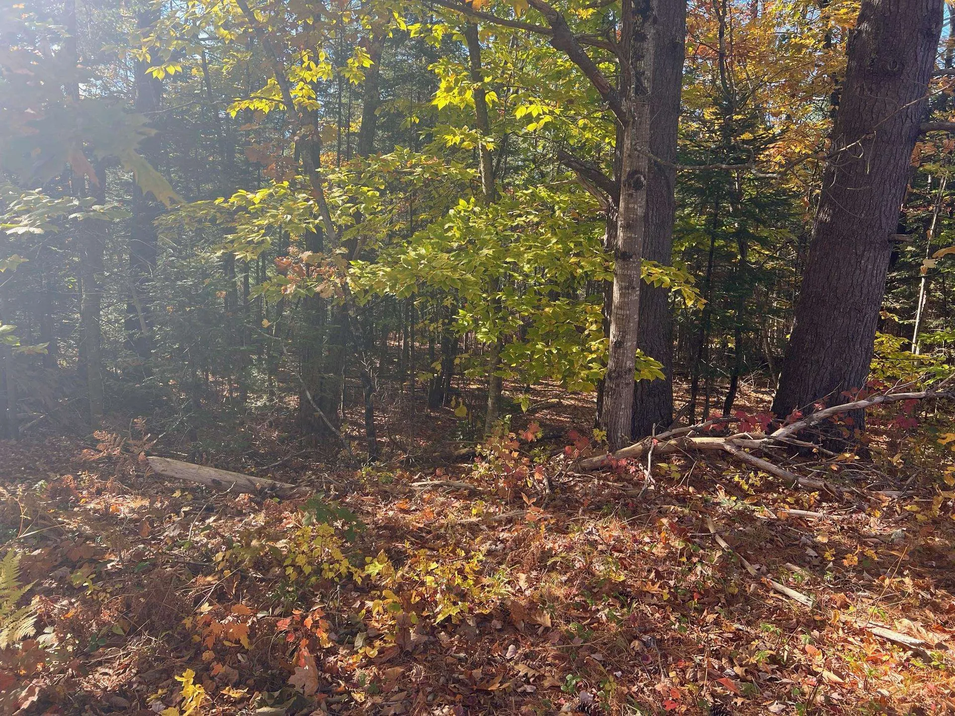 Lot#2 Shaker Jerry Road Moultonborough NH 03254