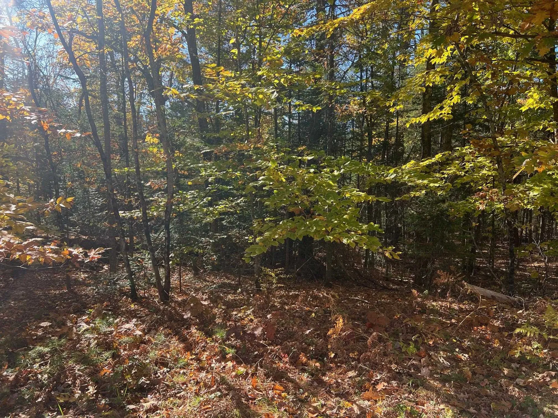 Lot#2 Shaker Jerry Road Moultonborough NH 03254