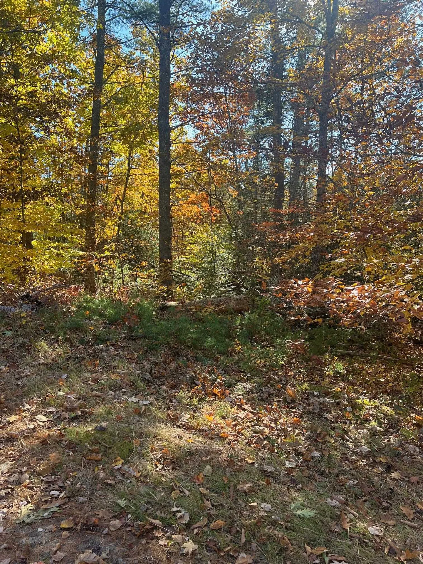 Lot#2 Shaker Jerry Road Moultonborough NH 03254