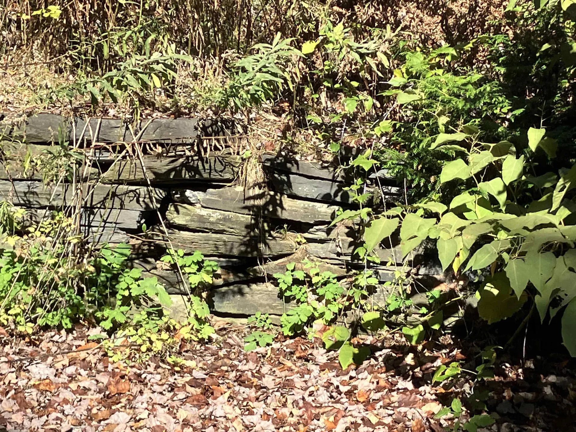 67 Buffalo Street Hardwick VT 05843