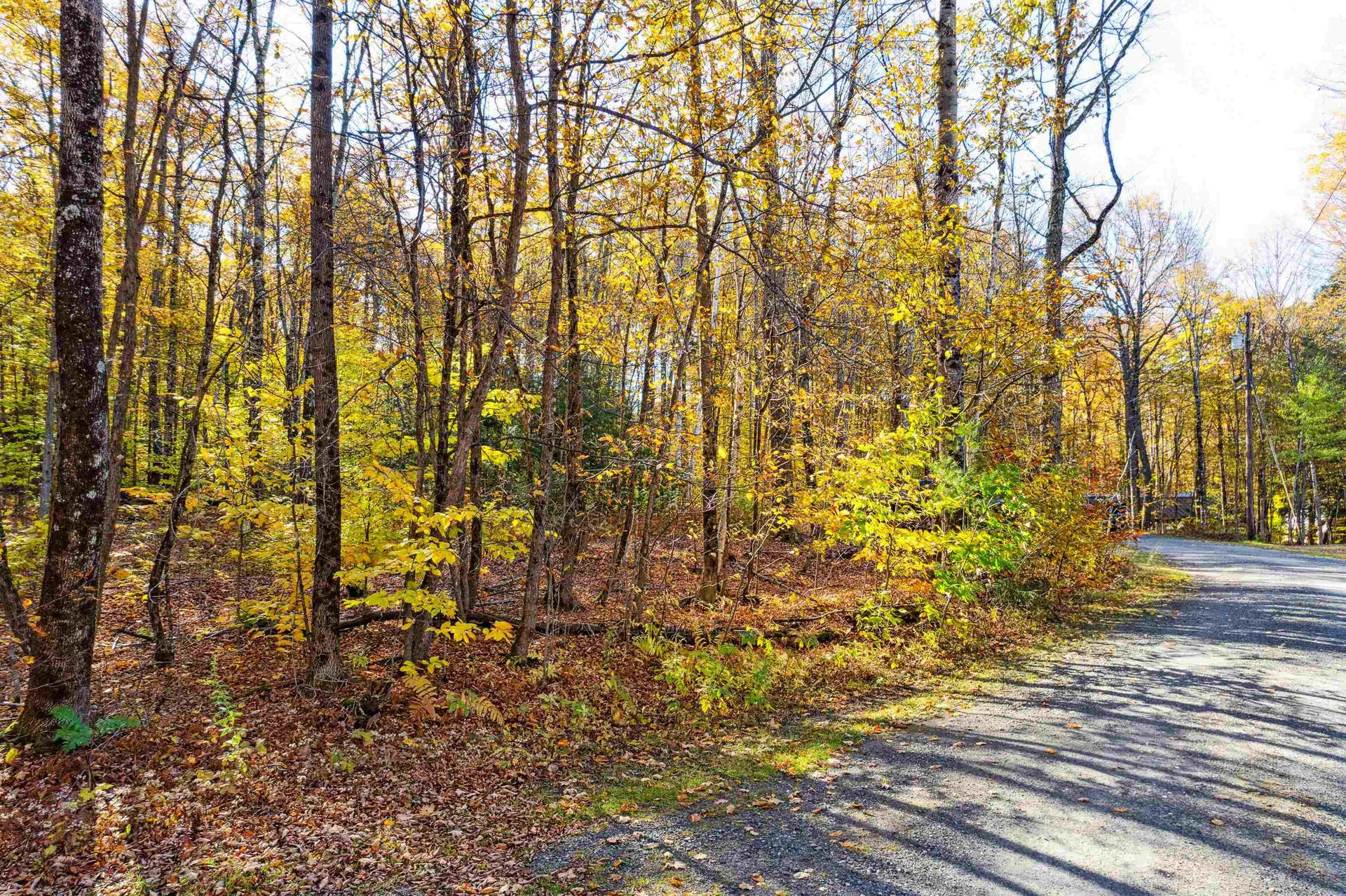 0 Harlow Lane Barnard VT 05031