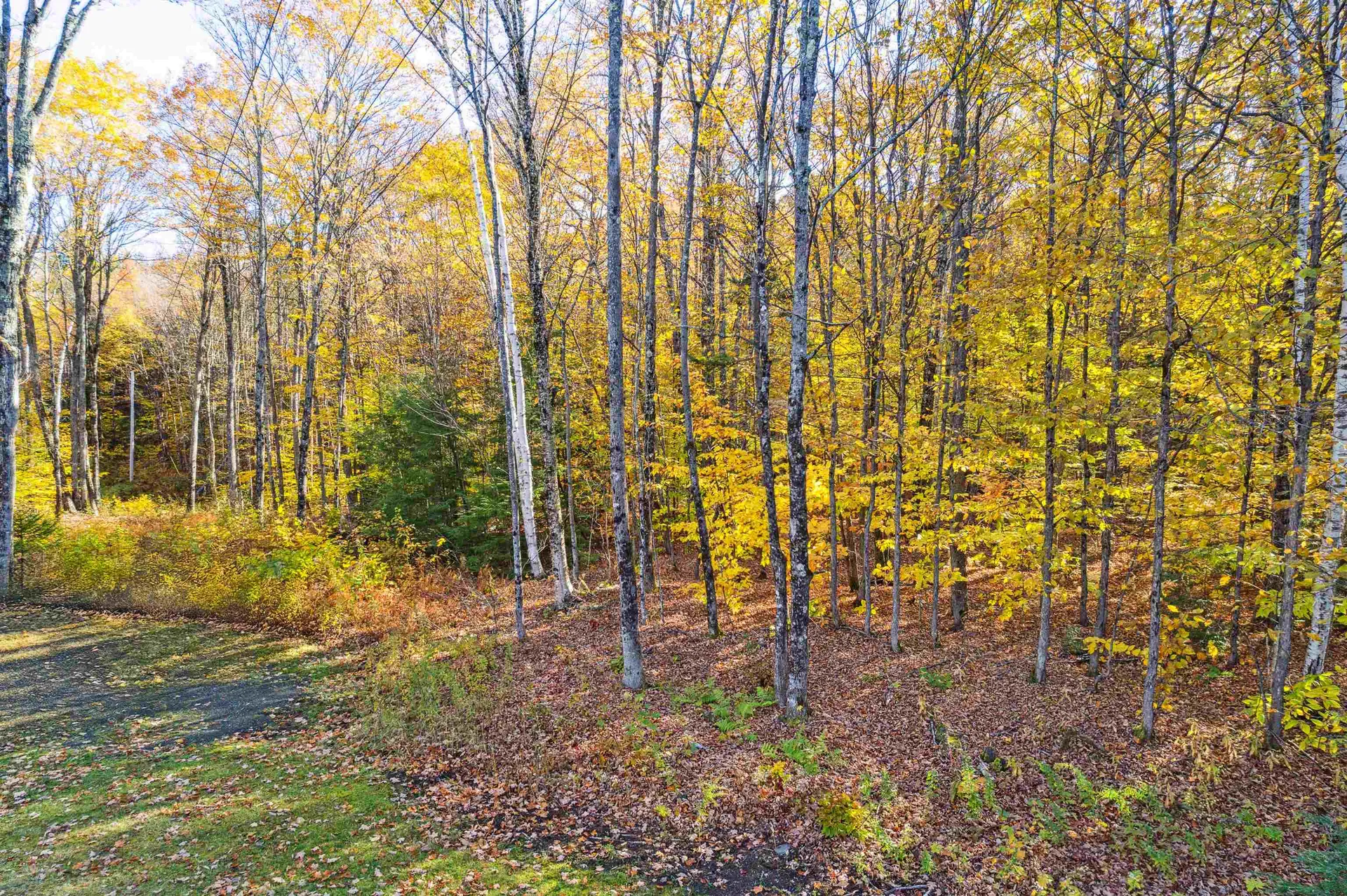 0 Harlow Lane Barnard VT 05031