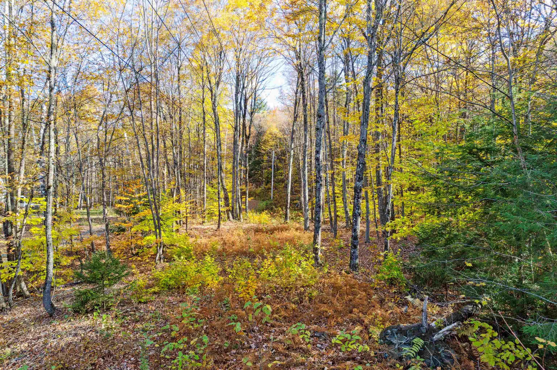0 Harlow Lane Barnard VT 05031