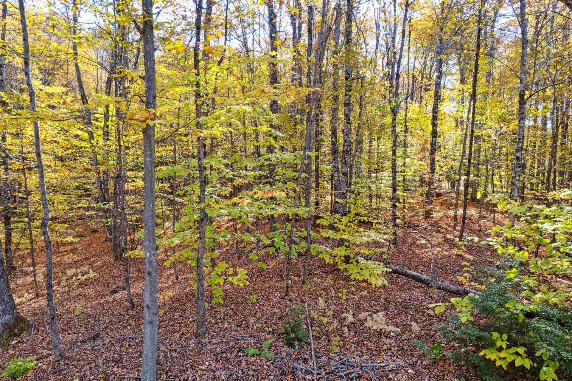0 Harlow Lane Barnard VT 05031