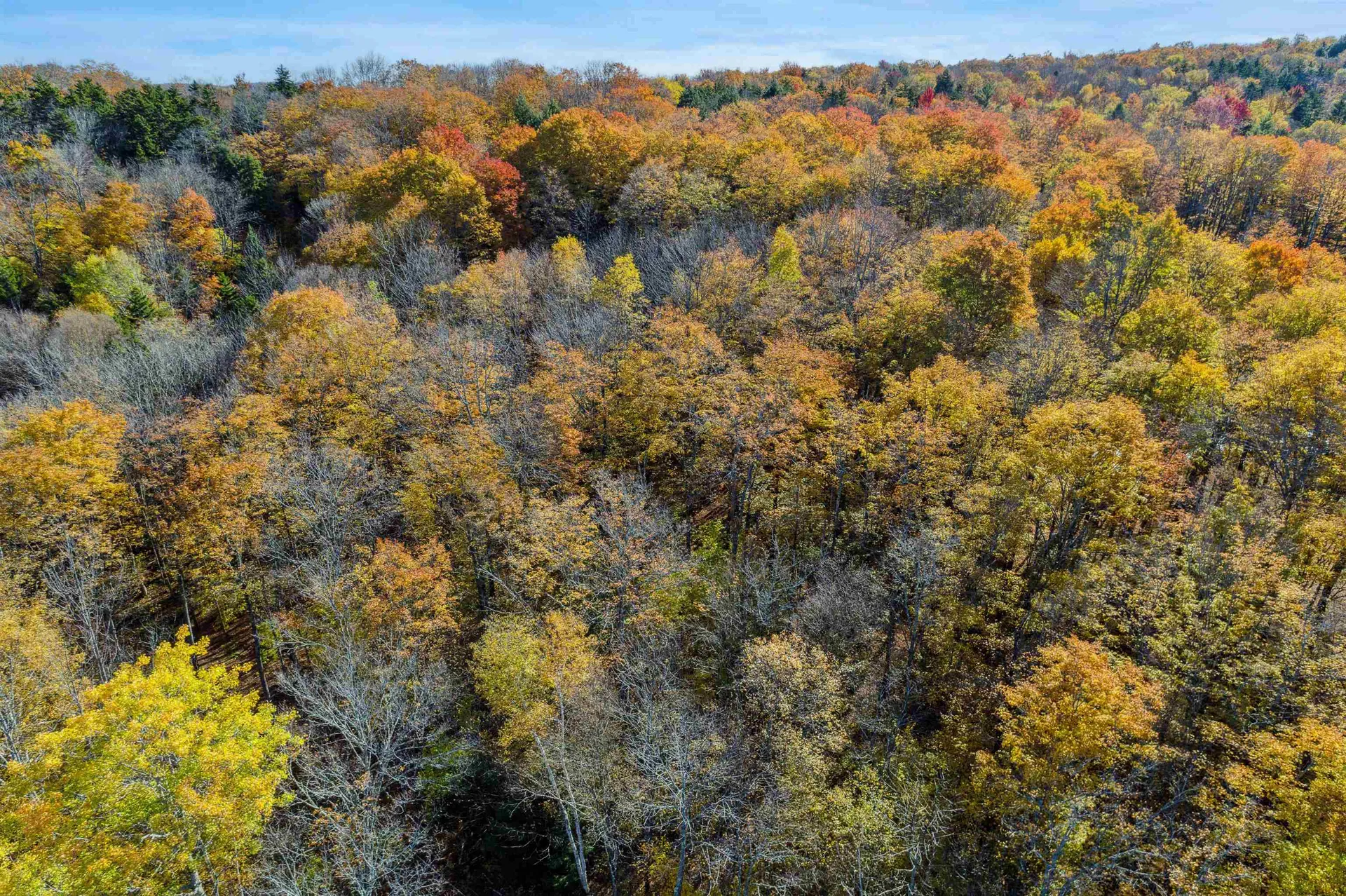0 Harlow Lane Barnard VT 05031