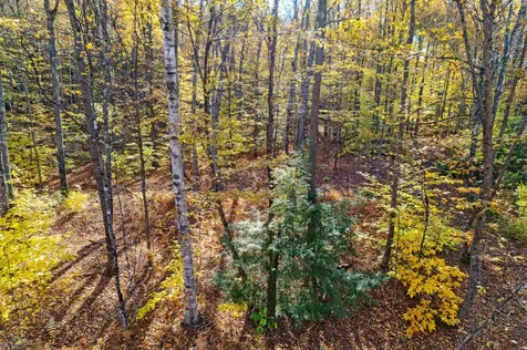 0 Harlow Lane Barnard VT 05031