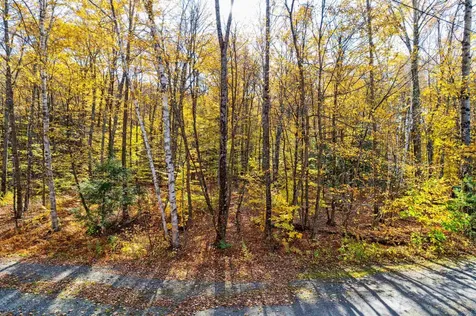 0 Harlow Lane Barnard VT 05031