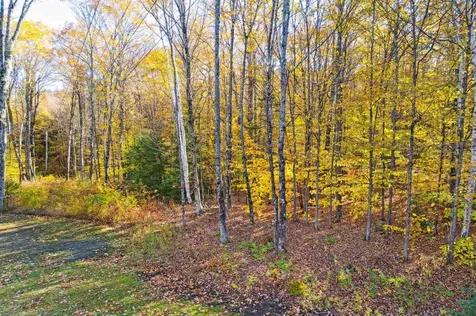 0 Harlow Lane Barnard VT 05031