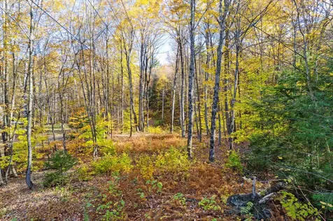 0 Harlow Lane Barnard VT 05031