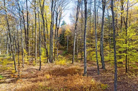 0 Harlow Lane Barnard VT 05031