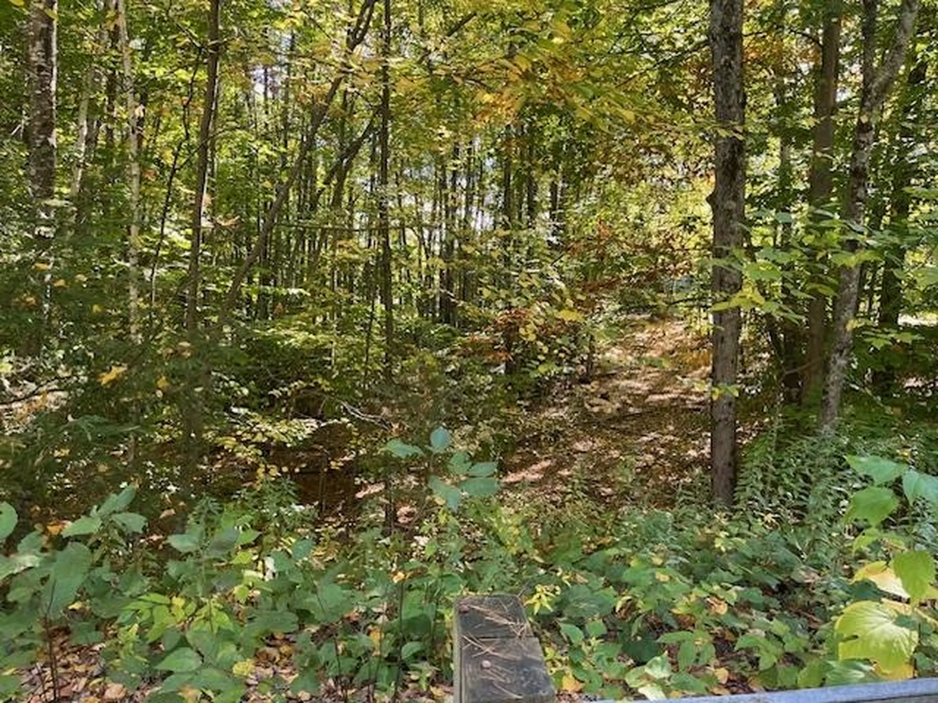 Lot 11 Route 11d Alton NH 03810