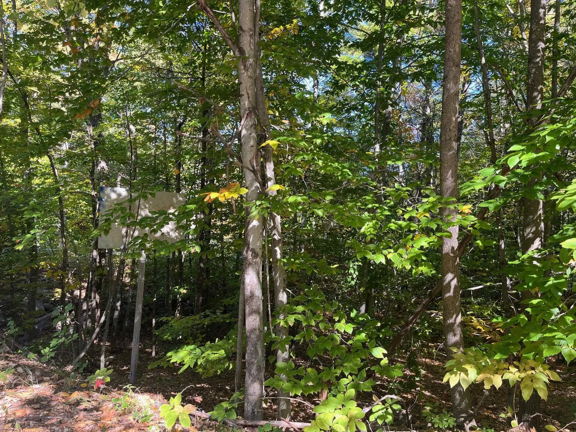 Lot 11 Route 11d Alton NH 03810