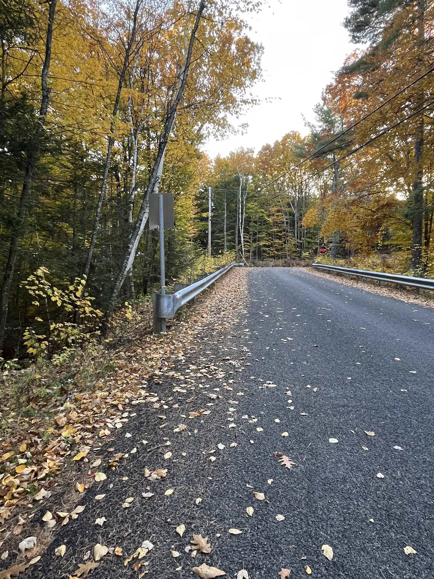 Lot 11 Route 11d Alton NH 03810