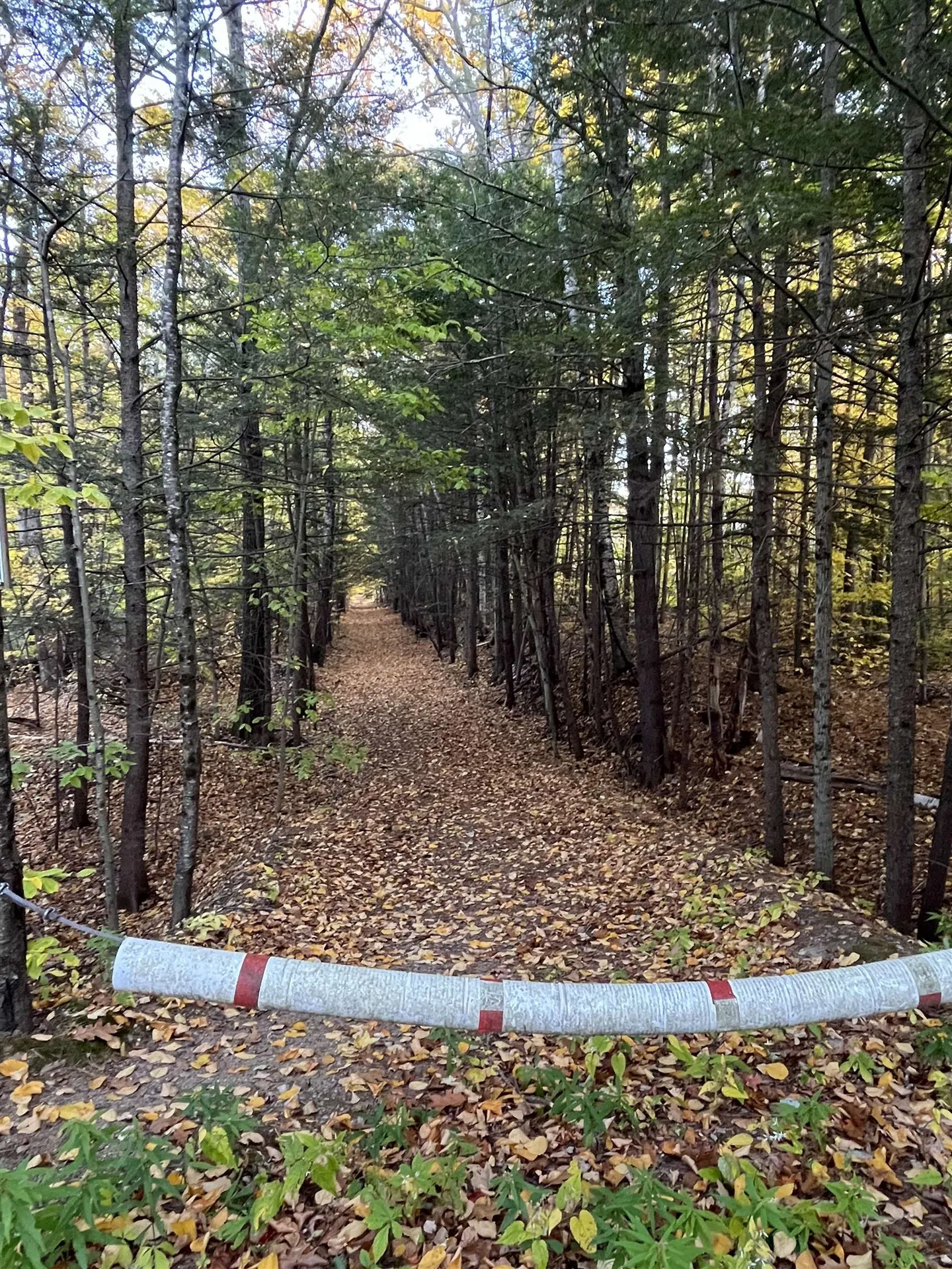 Lot 11 Route 11d Alton NH 03810