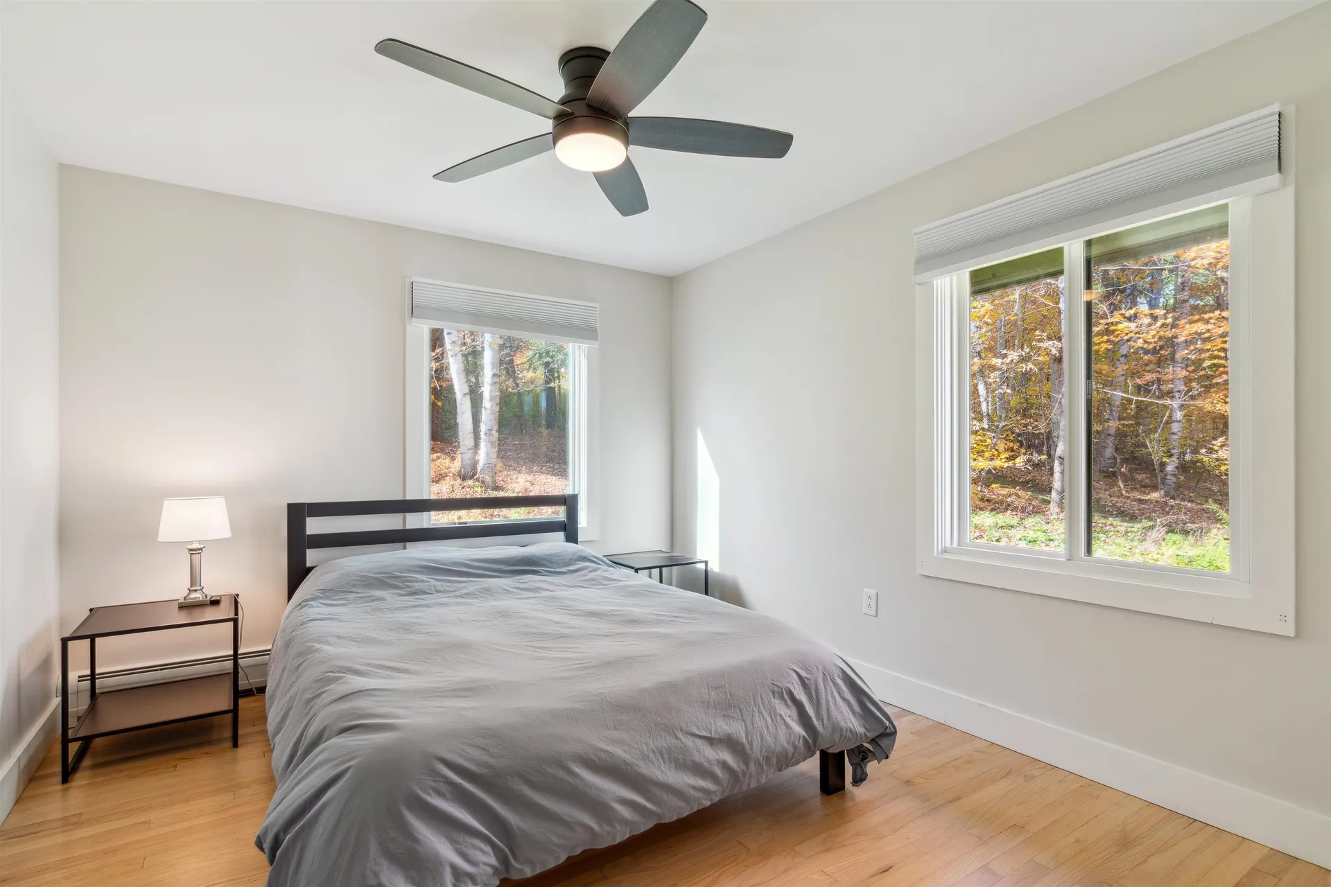 341 Dogford Road Hanover NH 03750