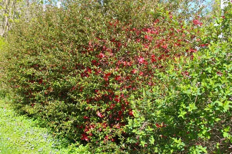 23 Rumford Street Concord NH 03301