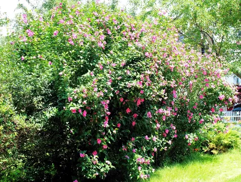 23 Rumford Street Concord NH 03301