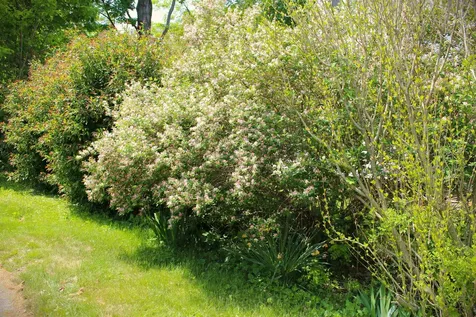 23 Rumford Street Concord NH 03301