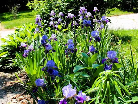 23 Rumford Street Concord NH 03301