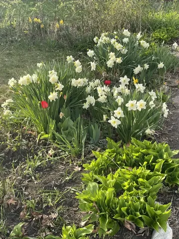 23 Rumford Street Concord NH 03301