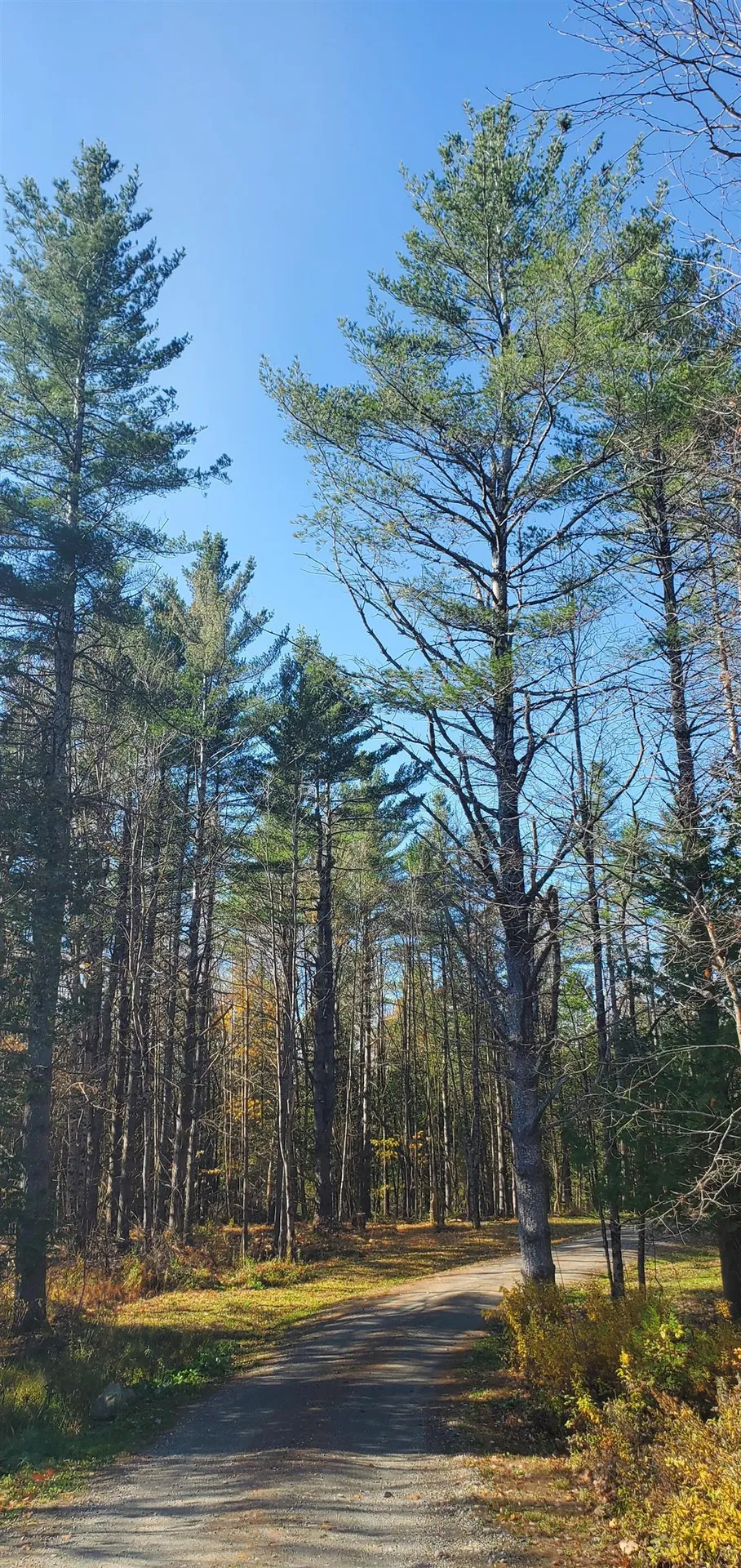 1594 Baptist Hill Road Lunenburg VT 05906