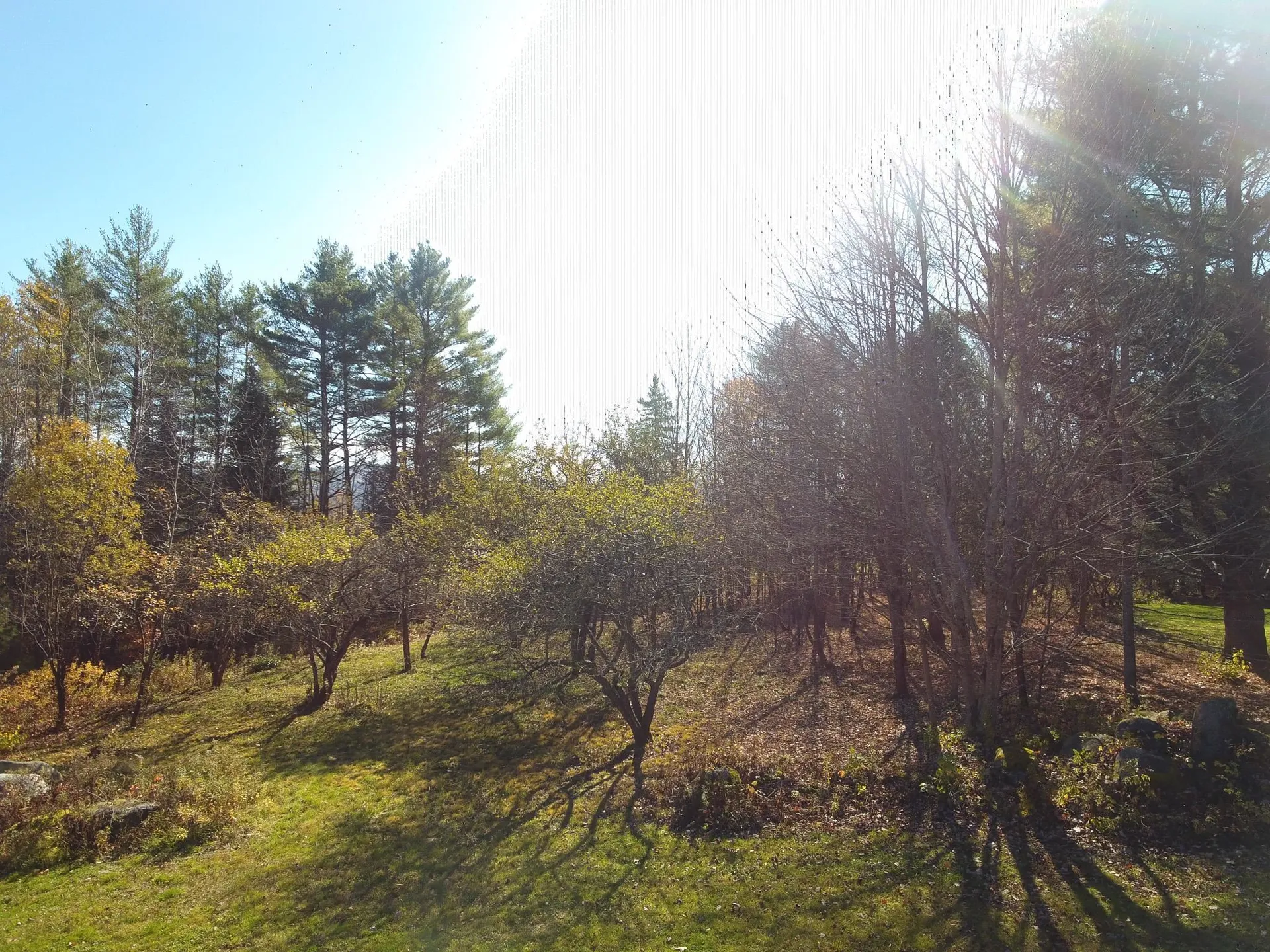 1594 Baptist Hill Road Lunenburg VT 05906