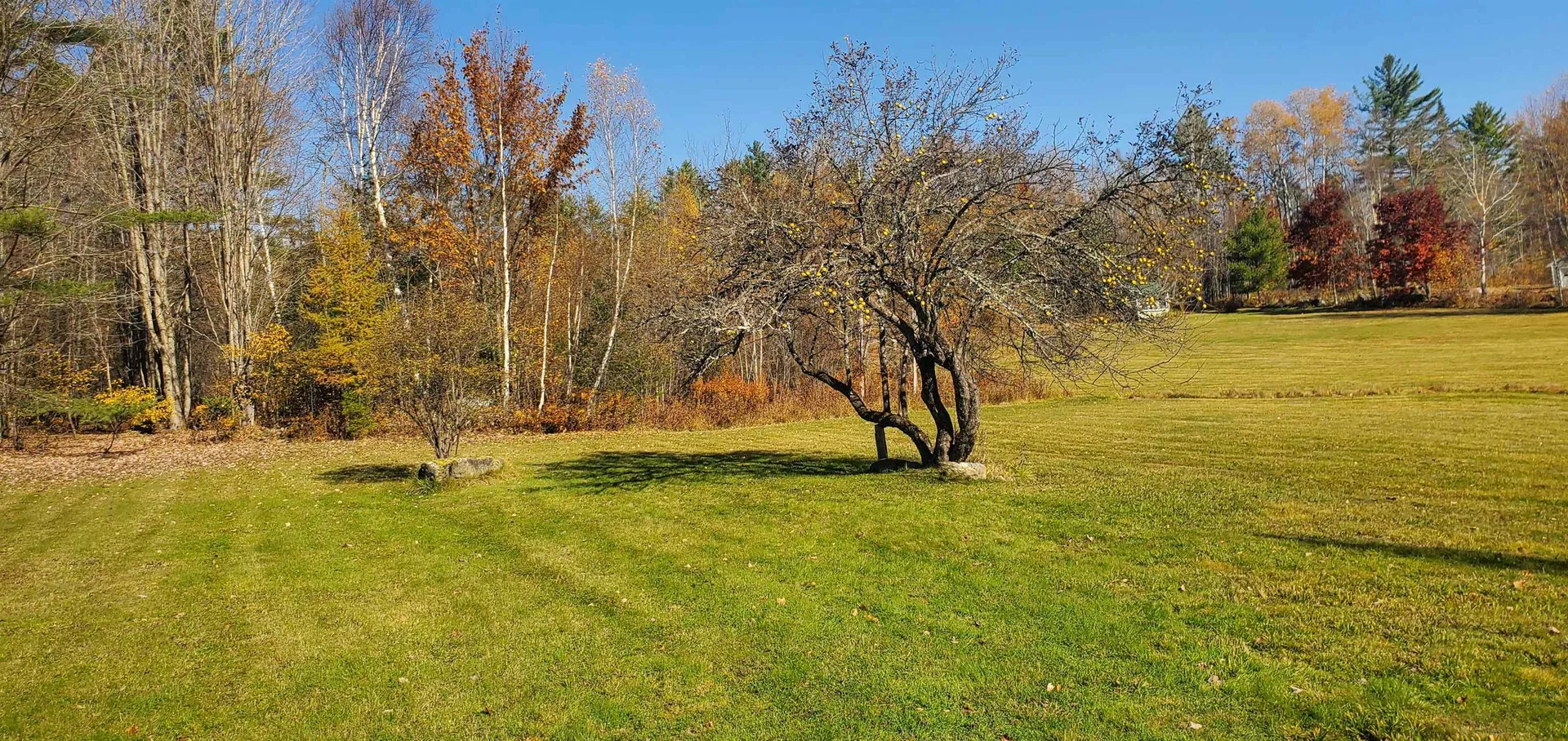 1594 Baptist Hill Road Lunenburg VT 05906