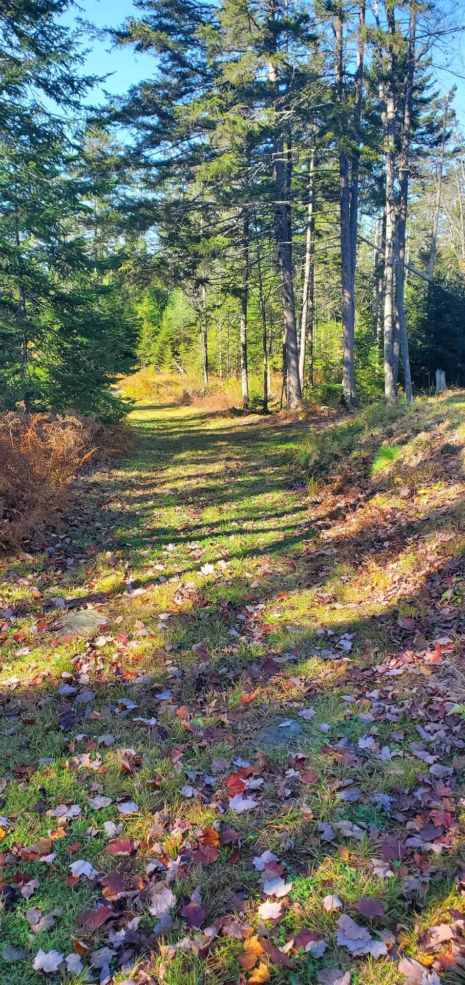 1594 Baptist Hill Road Lunenburg VT 05906