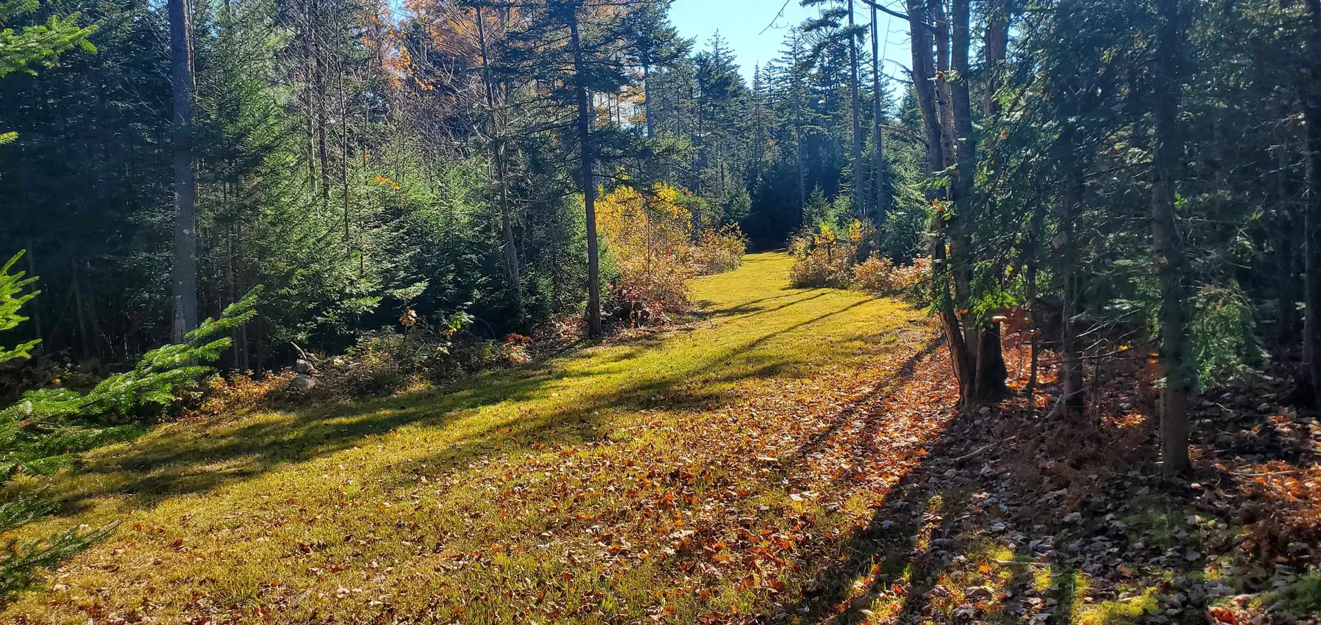 1594 Baptist Hill Road Lunenburg VT 05906