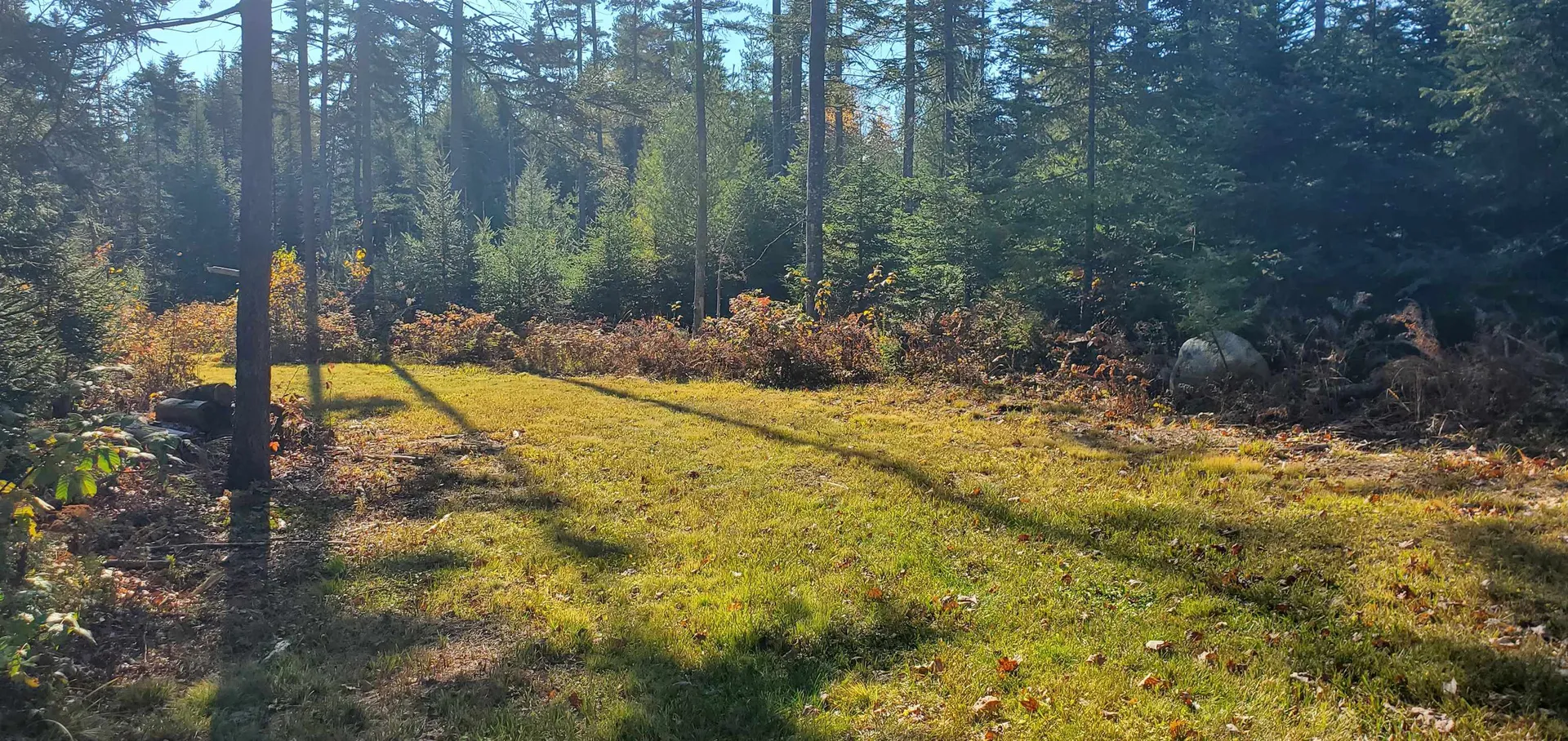 1594 Baptist Hill Road Lunenburg VT 05906