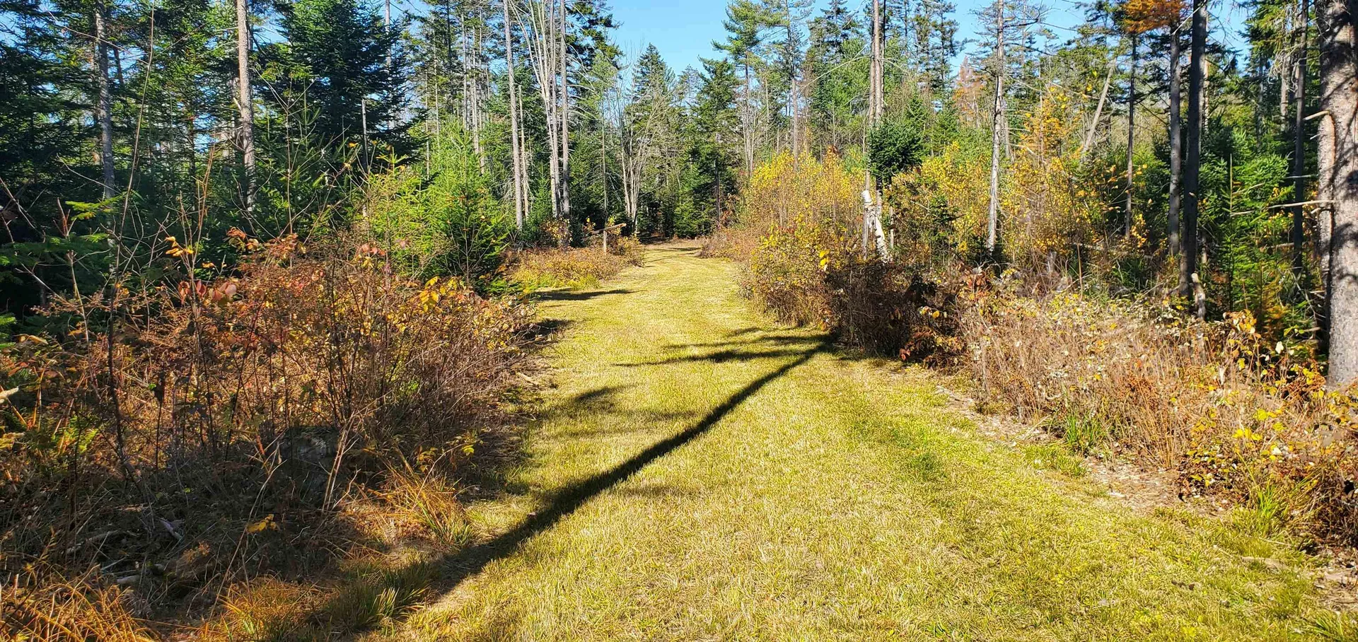 1594 Baptist Hill Road Lunenburg VT 05906