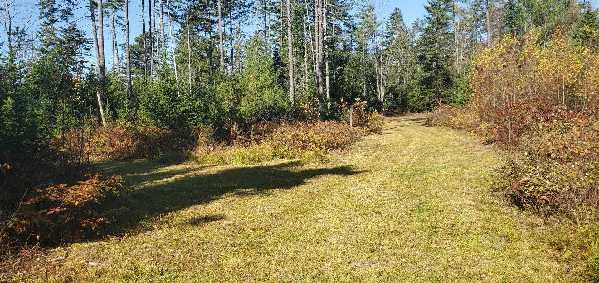 1594 Baptist Hill Road Lunenburg VT 05906