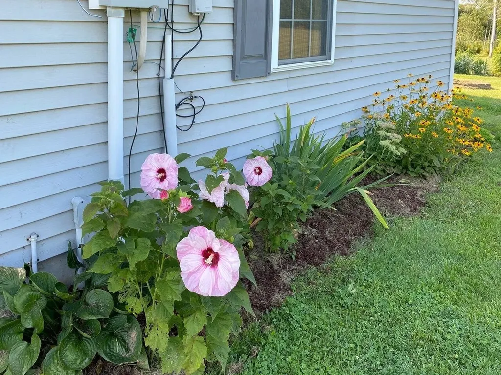 6 Fonda Court Swanton VT 05488