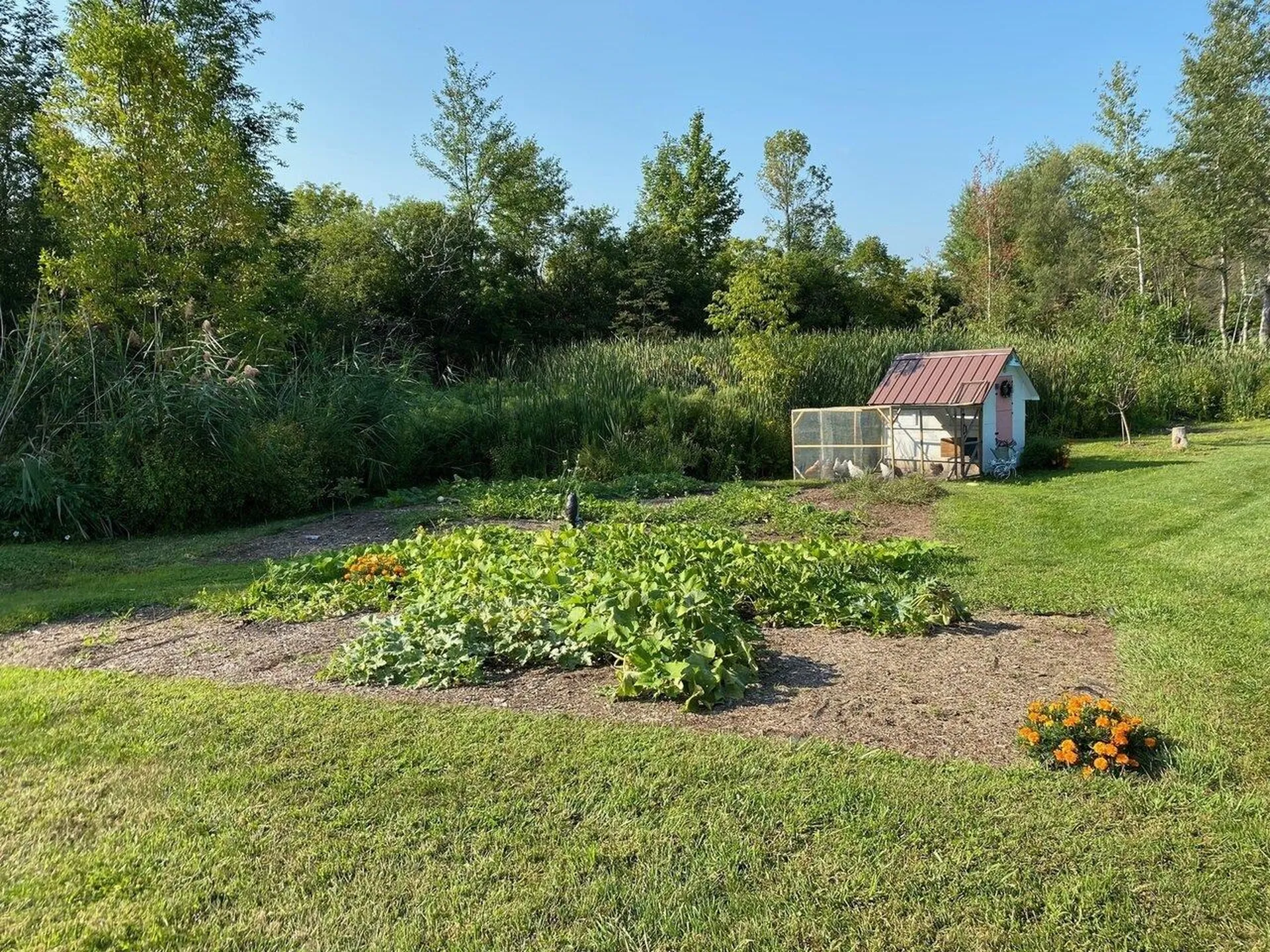 6 Fonda Court Swanton VT 05488