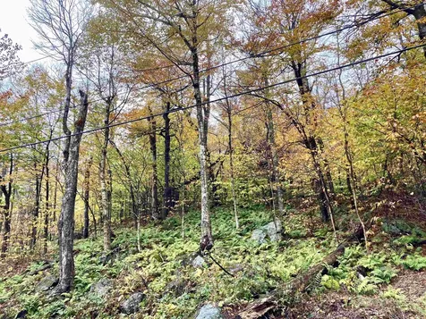 M557-m560 Upper Dam Road Wilmington VT 05363-0253