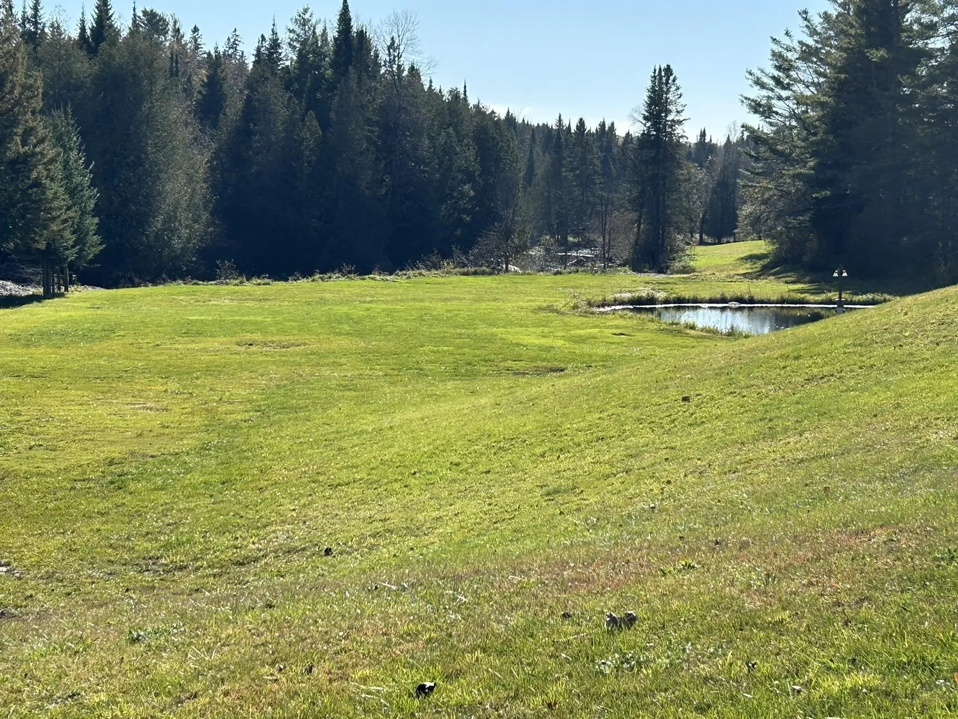 4112 Vt Route 16 Hardwick VT 05836