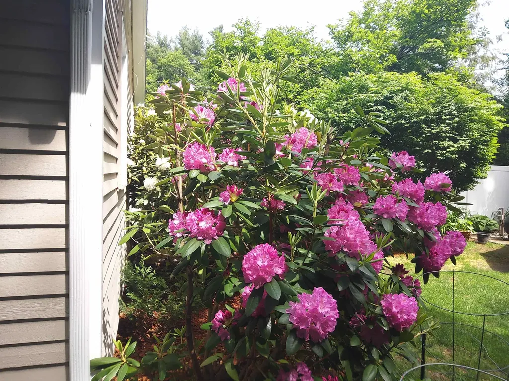 15 Coleridge Road Nashua NH 03062