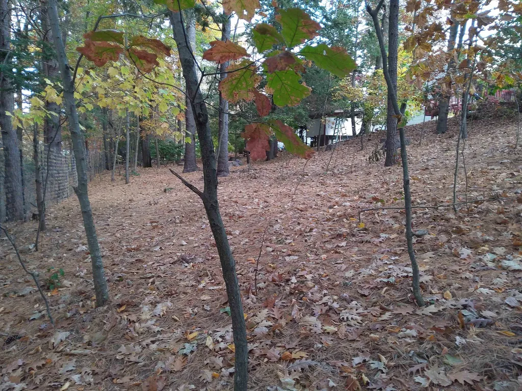 15 Coleridge Road Nashua NH 03062
