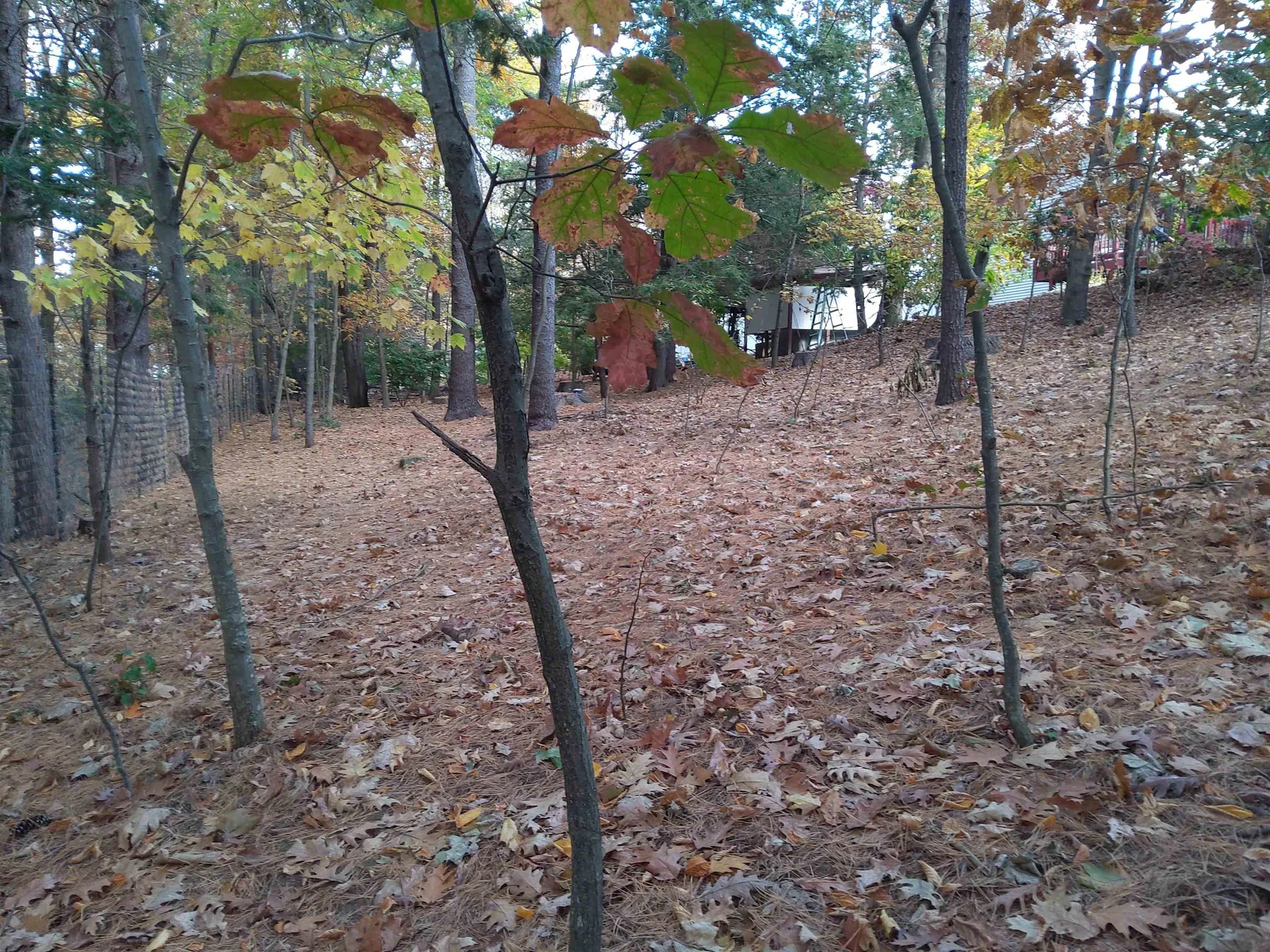 15 Coleridge Road Nashua NH 03062