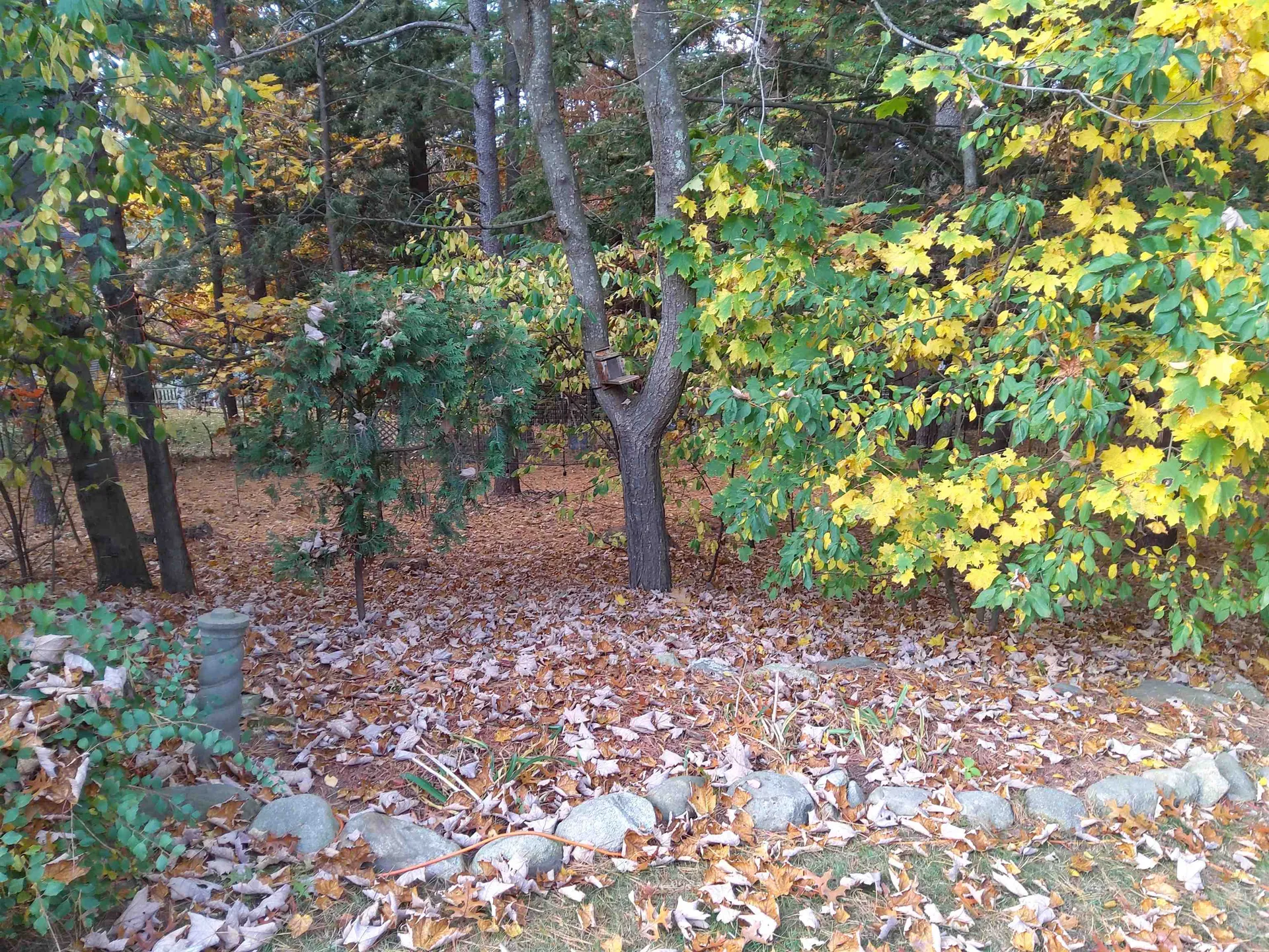 15 Coleridge Road Nashua NH 03062