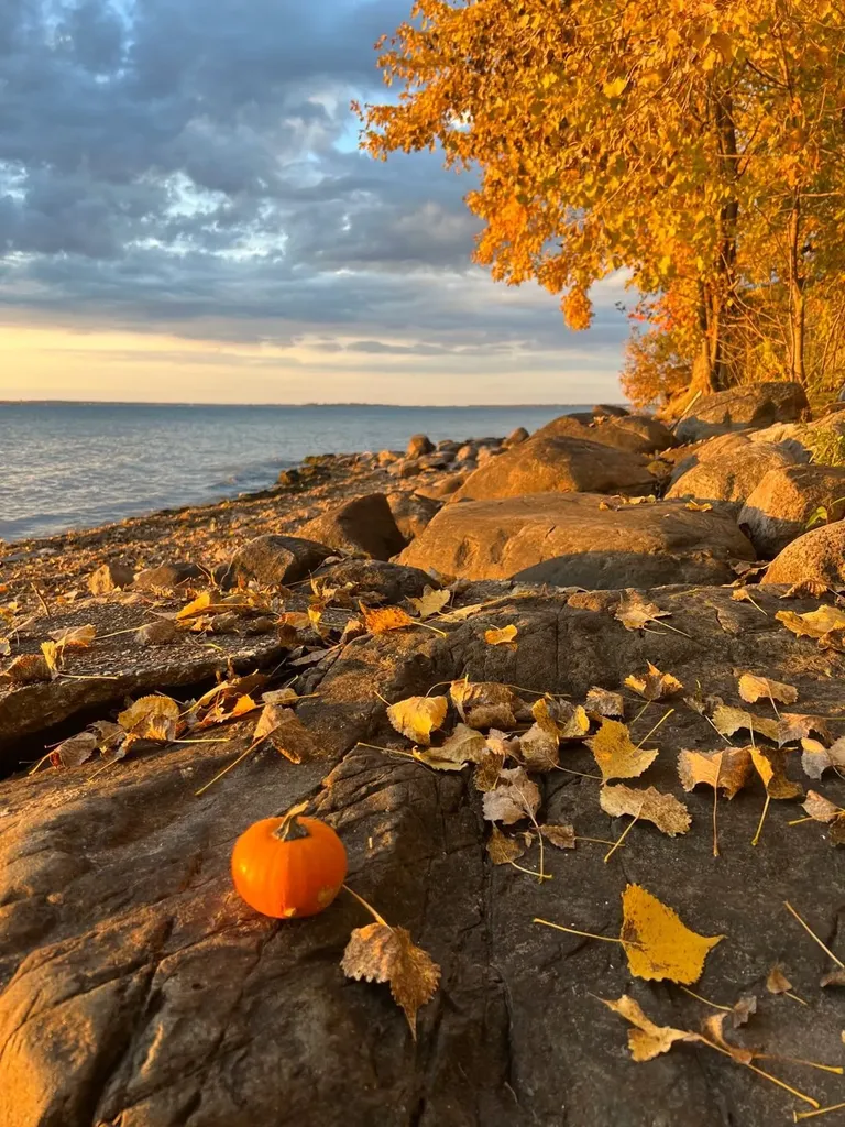 37 Mud Point North Alburgh VT 05440