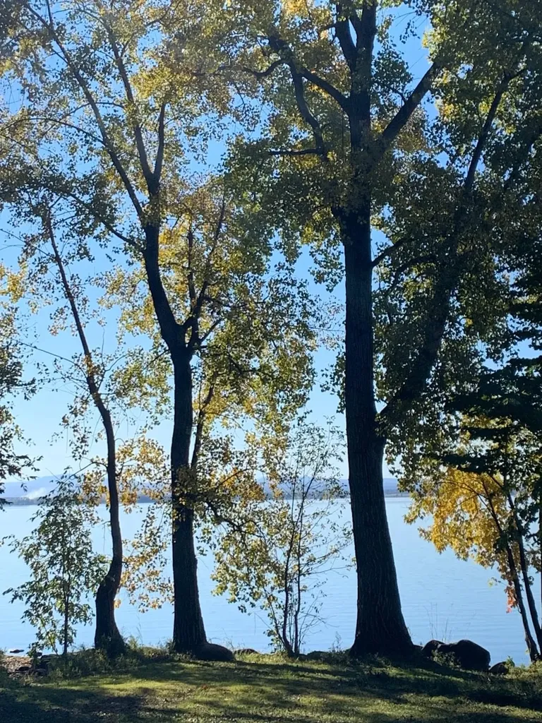 37 Mud Point North Alburgh VT 05440