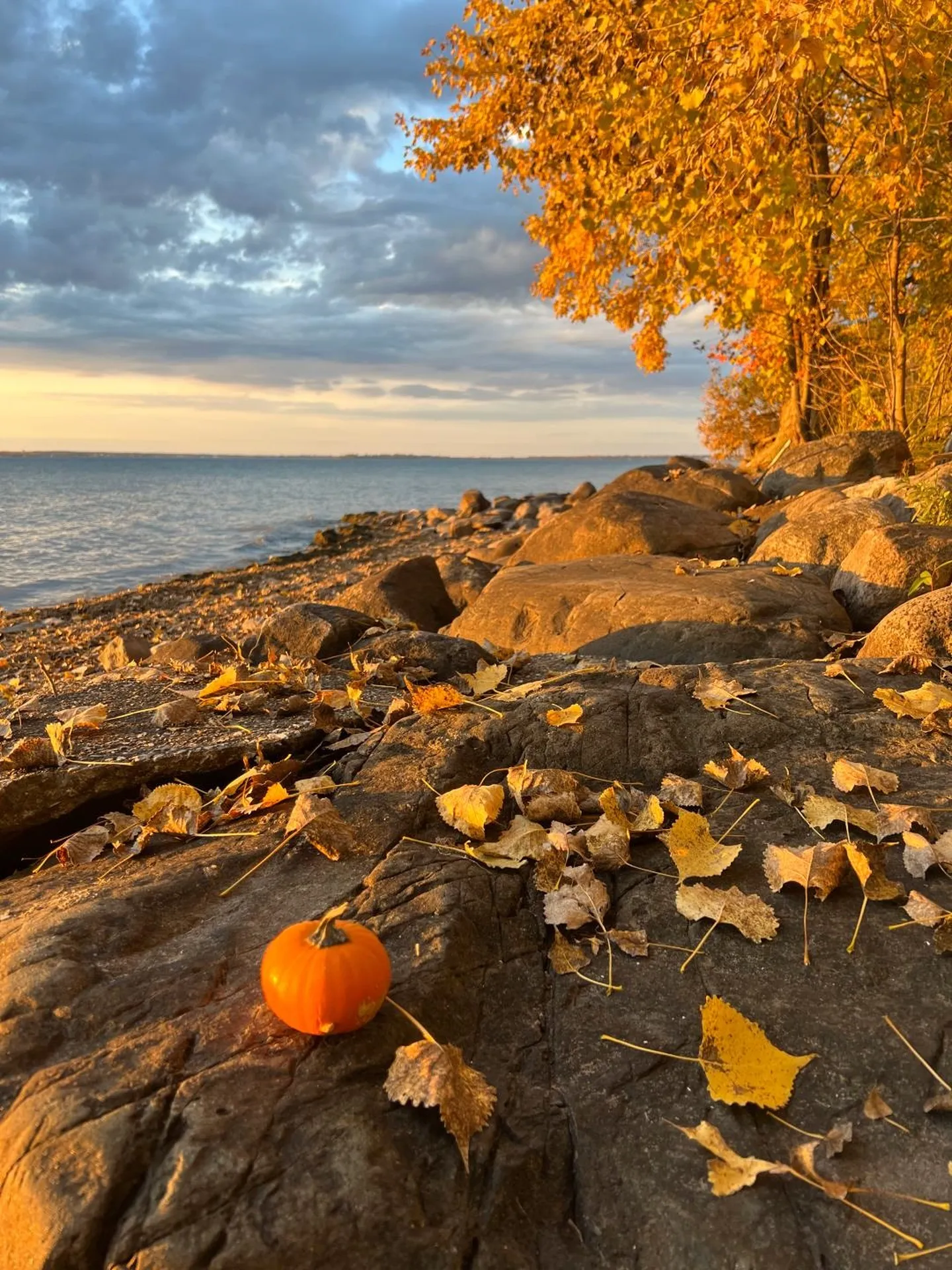 37 Mud Point North Alburgh VT 05440