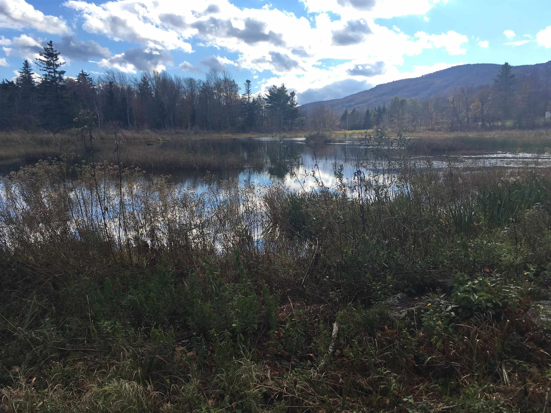 566 Upper Dam Road Wilmington VT 05363-0253