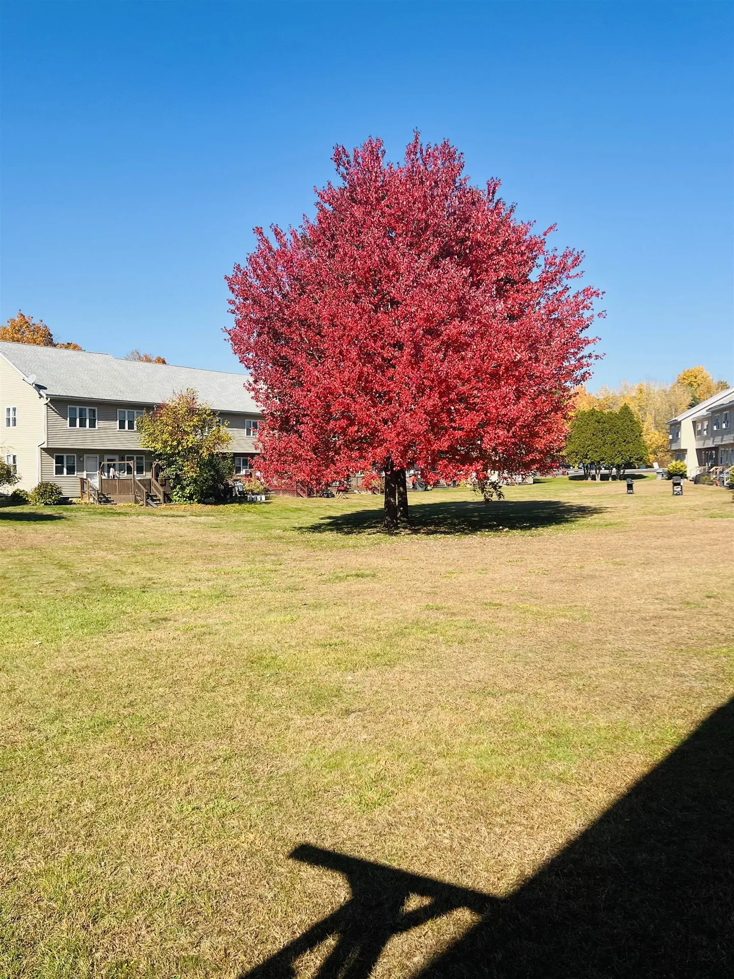 220 Mascoma Street Lebanon NH 03766