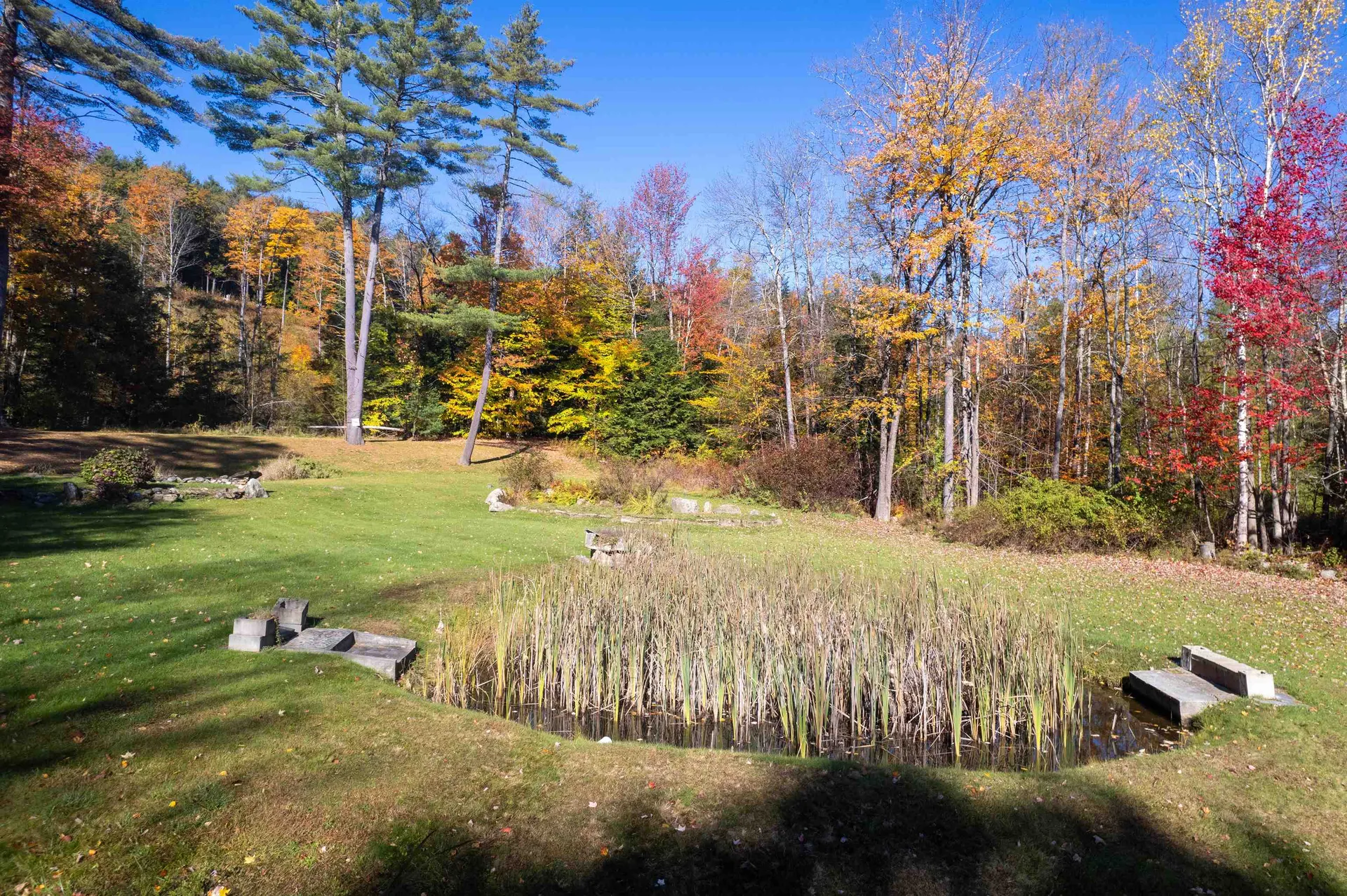 339 Craigue Hill Road Springfield VT 05156